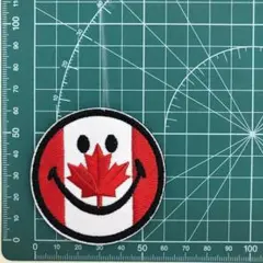 【Z065】ミリタリー パッチ ワッペン サバゲー サバイバル 刺繍 ベルクロ