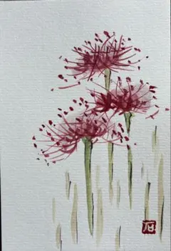 ポストカード(原画)ー彼岸花