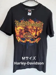Harley-Davidson Tシャツ 2011年製 San Diego