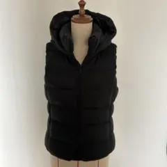 Item thumbnail for item 2f9409e5-1602-453b-8c0c-57c97c4f8cea