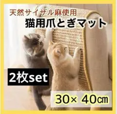 Item thumbnail for item 2639f5a6-1144-4a59-897c-48a6e67c287e