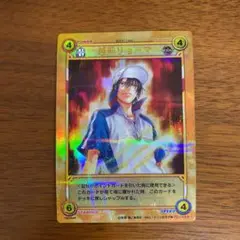 テニスの王子様TCGトレーディングカードゲームSR&SCR+HRカード113種類 2025年最新】テニスの王子様 カード hrの人気アイテム - メルカリ