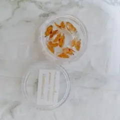 未使用⭐ ネイル　パーツ　蝶々　８枚入り