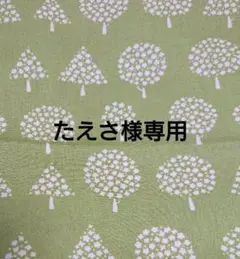 専用ページ