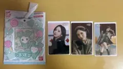 TWICEオフラインくじ 参加賞 ミナ カードホルダー ミブリー