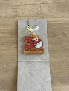 新品 ポケチャーム ポケモン30周年ロゴマスコット 2 ホゲータ