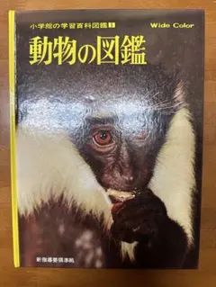 Item thumbnail for item 0c69704a-d623-4543-9965-5c71a8a4d757