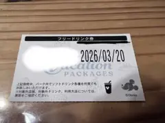 【最終値下げ】ディズニーリゾート　バケーションパッケージ　フリードリンク券