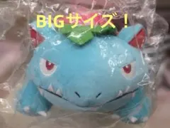 Item thumbnail for item 0df93c84-abda-4295-a891-78cefc314e30