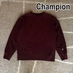 チャンピオントレーナー