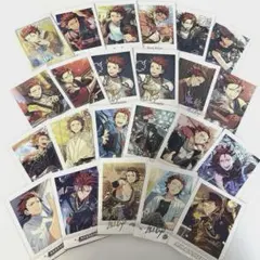 鬼龍紅郎 ぱしゃこれ ぱしゃっつ メモリアルフォト カード 27点セット