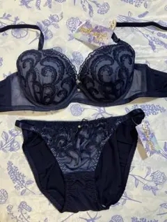 D65M 刺繍×レースのブラ＆ショーツセット　ネイビー