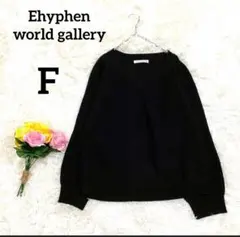 【イーハイフンワールドギャラリー】ニット　F　ブラック　シンプル　リブ