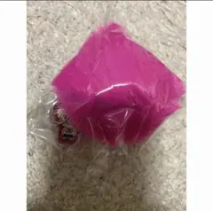 即購入可！岩田剛典　ファーキーホルダー　スタジアムガチャ