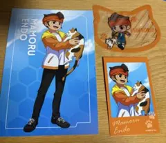 イナズマイレブン イナイレ まねきねこ フォトカード 円堂ハル 2点