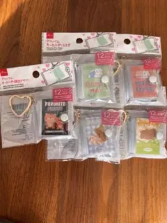 ミニアルバムキーホルダー5個セット