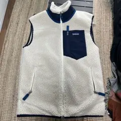 Patagoniaレトロx ベスト