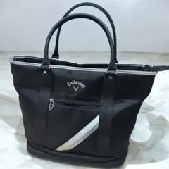 Item thumbnail for item a1b3bb9d-2a67-4ce1-ba07-7956329a6226