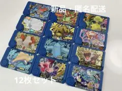 ポケモンフレンダ　ベストタッグ4弾　トレジャー　まとめ売り