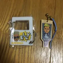 メトロポリスエリー 2016年羽子板