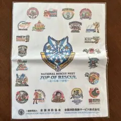 Item thumbnail for item c6fa204b-f50c-462f-9f2c-7f3b79e9039f