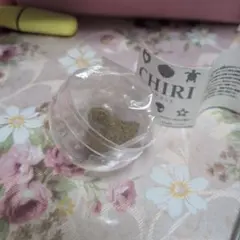 Item thumbnail for item 1afe215f-3cc3-49a4-ad84-bc70a877b7f4