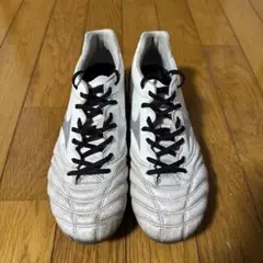 ミズノ モナルシーダネオ 26.0