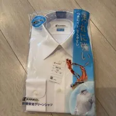 Item thumbnail for item 108d1a1f-0c1d-43d9-b765-2e8563666136