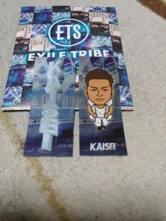 武知海青千社札