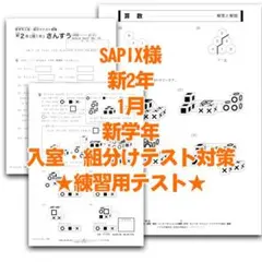 【✐新2年サピックス算数練習テスト】1月実施新学年入室テスト対策