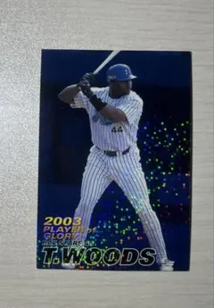プロ野球チップスカード ウッズ選手 スターカード
