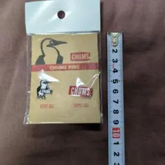 Item thumbnail for item 9664dd06-eaf9-4251-897e-641b4ca2a43e