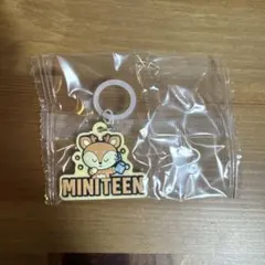 MINITEEN SEVENTEEN joshua