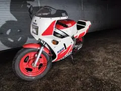 YAMAHA YSR50 前期 オリジナル 実働 2st スポーツ原付 大阪より