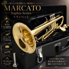 極美品 MARCATO SophiaSeries カーブドソプラノサックス - メルカリ