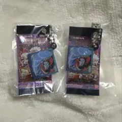 にふぉるめーしょん ワンピース大海賊シールウエハース ミニチュアチャーム