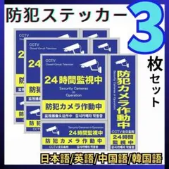 防犯ステッカー　3枚 カメラ型 青　セキュリティー ステッカー　防犯対策 シールのサムネイル