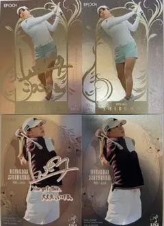 Item thumbnail for item e9fe7c4b-bc5e-4040-9874-4bd2a0209f55