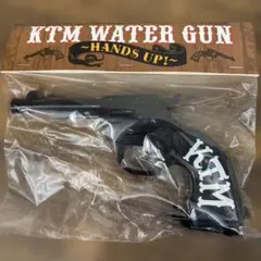 KTM Wander Four Four Gunmen ペンライト 2019 - メルカリ