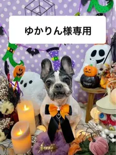 ゆかりん様専用ページ