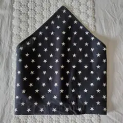 Item thumbnail for item c22240fb-8404-461b-af54-9563c5916ddd