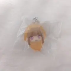 カラフルピーチ　からぴち　えと　めじるしアクセサリー