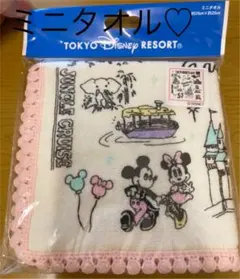 【TDL】東京ディズニーランド★ミニタオル★☆ミッキーミニー☆新品/未使用品！