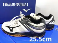 ミズノスニーカー/25.5cm