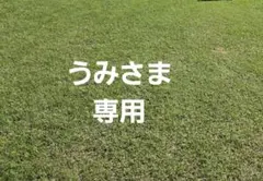 うみさま専用