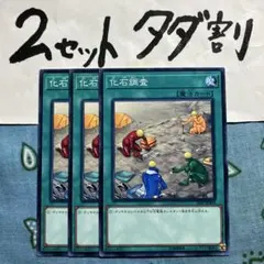 2026年最新】化石調査 遊戯王の人気アイテム - メルカリ