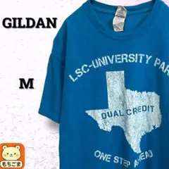 GILDAN US古着 カレッジ系 両面プリントTシャツ 青 M