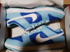 Nike Dunk Low Retro QS　３３センチ