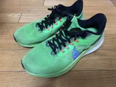 ナイキ　エアズームペガサス39 EKIDENモデル