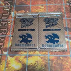 ラ*安様 [未開封品] ポケカBW ボーマンダ 超!進化セット 2パック